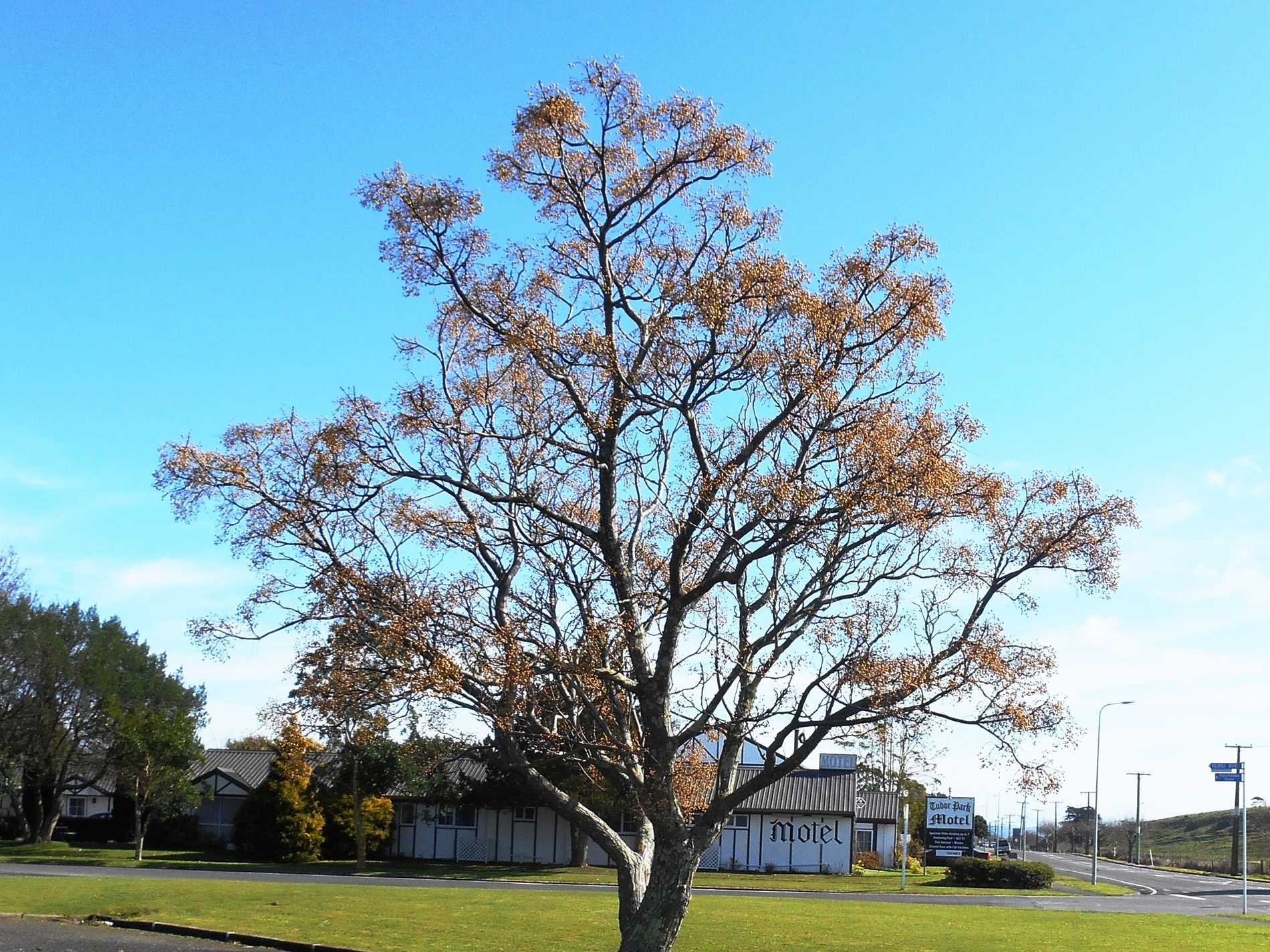 In a quieter location off the main road